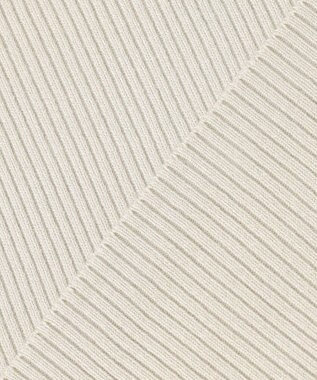 ANY 【洗濯機可】ボトルネック リブニット オイスター