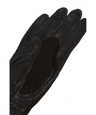 DAKS 【DAKS GOLF】 ニット＆シープレザーグローブ ブラック