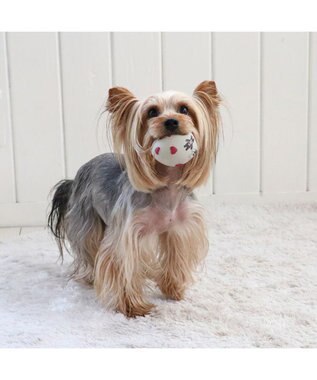 PET PARADISE リサとガスパール ラテックス トイ 《ハート柄》 ハート柄