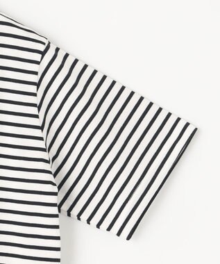 ANY 半袖テールＴシャツ ボーダー