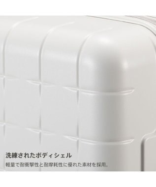 ACE BAGS & LUGGAGE Proteca 360G4 スーツケース 日本製 53L 02422 プロテカ ウォームグレー