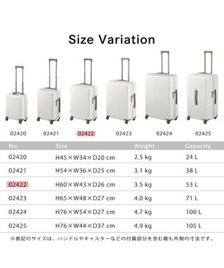 ACE BAGS & LUGGAGE Proteca 360G4 スーツケース 日本製 53L 02422 プロテカ ウォームグレー
