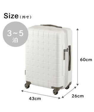 ACE BAGS & LUGGAGE Proteca 360G4 スーツケース 日本製 53L 02422 プロテカ ウォームグレー