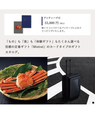 PRESENTERS ROOM Mistral(ミストラル) e-order choice(カードカタログ) ＜Antibes(アンティーブ)＞ -