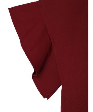 Green Parks フレアスリーブドッキングプルオーバー Bordeaux