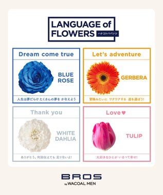 WACOAL MEN ブリーフ フロント立体設計 適度なフィット感（フロント部分） 前閉じ GF2220 /ブロス バイ ワコールメン アイボリー