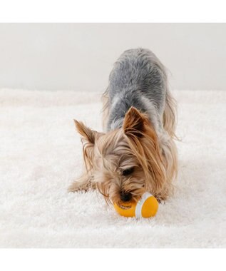 PET PARADISE スヌーピー ラグビー ラテックス トイ オレンジ