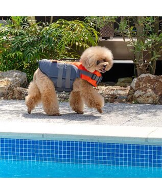 PET PARADISE ペットパラダイス ライフベスト【ＳＳ～Ｓ】 《オレンジ》 オレンジ