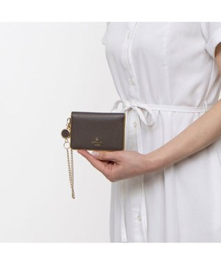 LANVIN en Bleu リム リール付き2面パスケース ブラウン