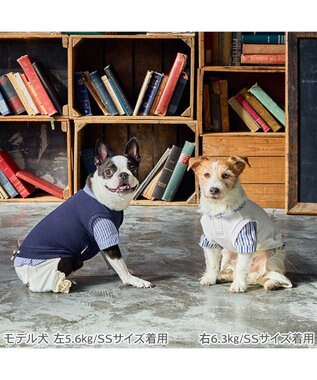 PET PARADISE ペットパラダイス ベスト パンツつなぎ 《ホワイト》 小型犬 ホワイト×ホワイト