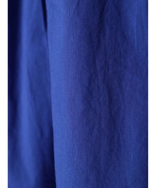 Green Parks ティアードロングスカート Blue