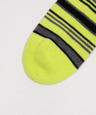 WEGO マルチボーダーソックス（R）　 ライム
