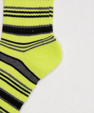 WEGO マルチボーダーソックス（R）　 ライム