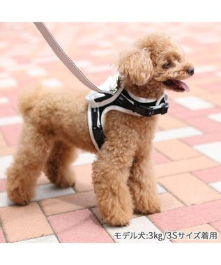 PET PARADISE Lee  ポケットハーネス ３Ｓ 小型犬 -