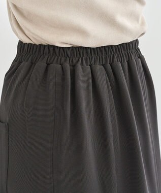 Green Parks ・ＥＬＥＮＣＡＲＥ　ＤＵＥ　サイドポケットフレアスカー Charcoal Gray