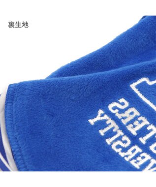 PET PARADISE ディズニー モンスターズユニバーシティ スタジャン 《マイク》 小型犬 ブルー