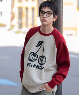 WEGO 【ユニセックス着用ITEM/SMLサイズ展開】ジャガードグラフィックプルオーバー 柄2