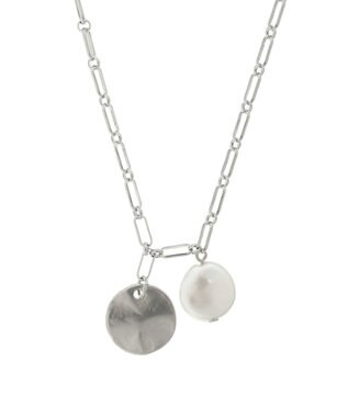 Green Parks ・ＨＡＬＦ　ＴＩＭＥ　パール＆メタルプレートネックレス Silver