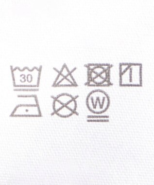 WEGO 【ユニセックス着用ITEM/SMLサイズ展開】グラフィックロゴプルパーカー グレー