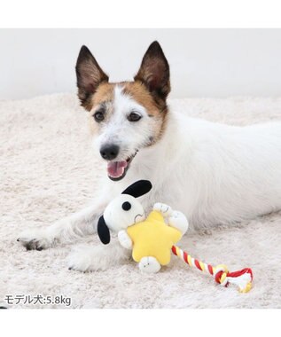 PET PARADISE スヌーピー  流れ星トイ  小型犬 流れ星