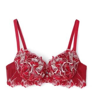 San-ai Resort（三愛水着楽園） 【エレガントコレクション2311】単品ブラHIカップ  【northerly】 レッド