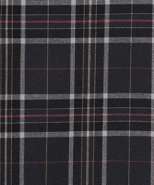 J.PRESS LADIES L プロビスストライプチェック フリルネック カットソー ネイビーチェック系