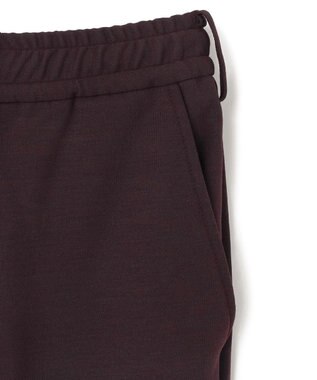 JOSEPH HOMME 【限定カラーあり】ウーステッドモックロディ / PEGG CONVERTIBLE ワイン系