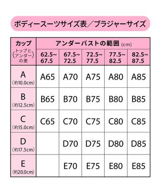 Wing ボディスーツ しっかりした着用感 しっかりおなか押さえ 背中・ウエスト・ヒップサポート NA3639 ウイング／ワコール シナモンブラウン