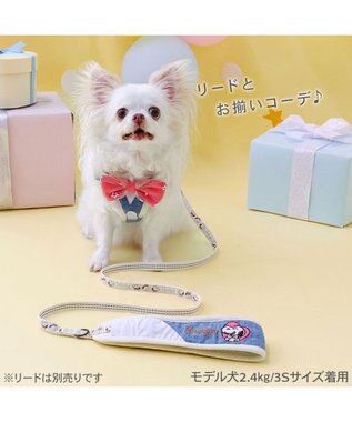 PET PARADISE スヌーピー バースデー ベストハーネス ＳＳ ブルー