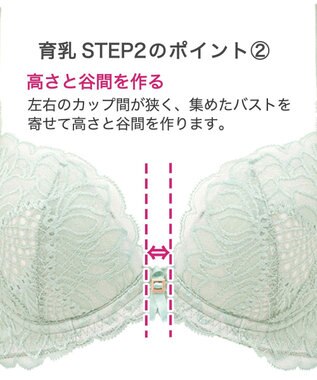 BRADELIS New York 【BRADELIS New York / 育乳ブラ・STEP2 寄せる】　ナオミステップ2ブラ22A1 ライトグリーン