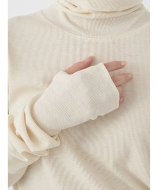 earth music&ecology ＴＲウールブレンドタートルネックプルオーバー Ivory