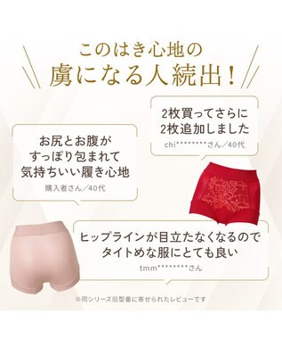 BRADELIS New York 【BRADELIS NewYork peace】綿混フィットレースショーツ25 深め 補正下着 ヒップアップ 美尻 ローズベージュ