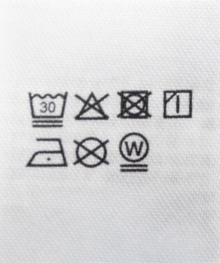 WEGO グラフィックBIG　T（長袖） アッシュグレー