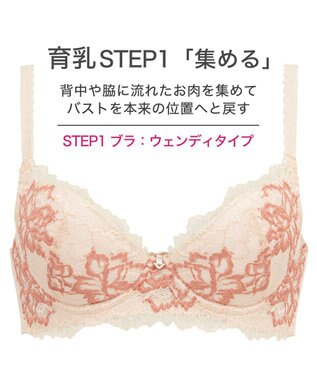 BRADELIS New York 【BRADELIS New York / 育乳補整ブラ・STEP1 集める】ウェンディステップ1ブラ24S2 シャンパン
