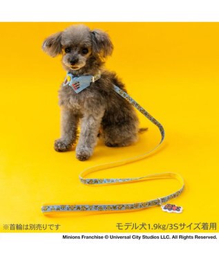 PET PARADISE ミニオン チャーム付リード ＳＳ～Ｓ ブルー
