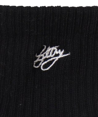 WEGO カラーロゴ刺繍アンクルパイルソックス ブラック