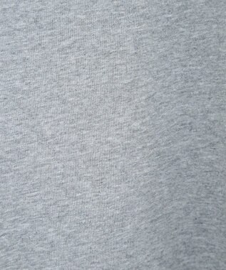 Green Parks シンプルロゴ長袖ロンＴＥＥ Gray Mixture