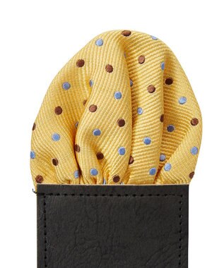 MIKI HOUSE HOT BISCUITS 【ミキハウス】 ドット柄ネクタイ(ポケットチーフ付) カラシ