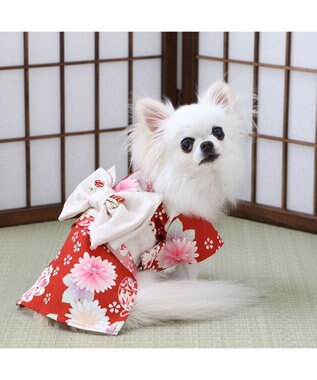 PET PARADISE ペットパラダイス 手毬菊 着物 小型犬 レッド