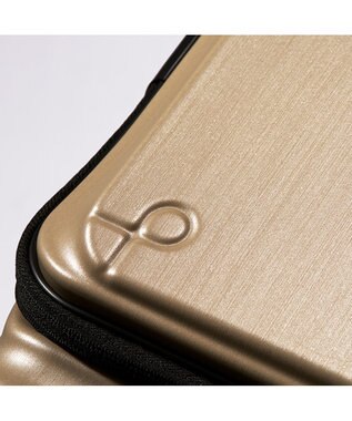 ACE BAGS & LUGGAGE Proteca フレスターEX スーツケース 日本製 26/33L 機内持込 エキスパンド フロントオープン 01550 プロテカ ゴールドヘアライン