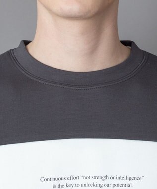 WEGO カラーパネルプルオーバー ブラック中濃色