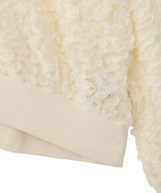 Green Parks フラワー柄チュールブルゾン Ecru