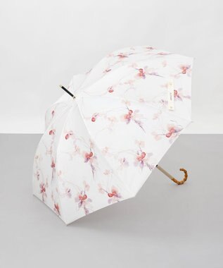 AURORA 【 JILL STUART（ジル スチュアート）】グラデーションフラワープリント雨傘(長傘)