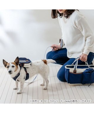 PET PARADISE ペットパラダイス ライン入りリュック付き ハーネス ＳＳ 小型犬 ネイビー