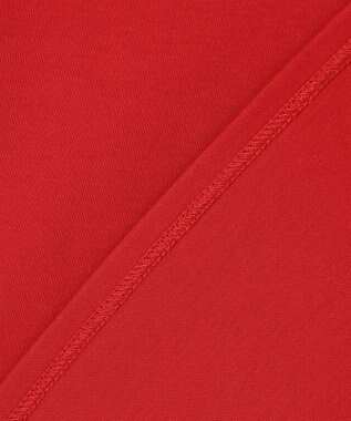 ANY プレミアムコットンベーシックＴシャツ レッド（一部店舗限定色）