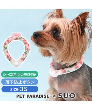  ペットパラダイス 28℃クールリング SUO 《いちご》 〔３Ｓ〕 小型犬