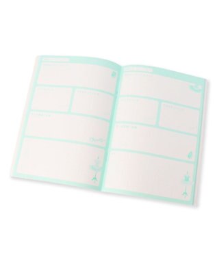 Chacott ジュエルチュチュレッスンノート アイスグリーン