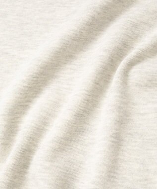 Green Parks ＳＴＡＲ　ＷＡＲＳ／プリントスウェット Oatmeal