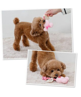 PET PARADISE ディズニー ミニーマウス 風船ロープ トイ 《ピンク》 小型犬 ピンク