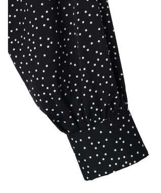 Green Parks ・ＥＬＥＮＣＡＲＥ　ＤＵＥ　ハシゴレースブラウス Dot